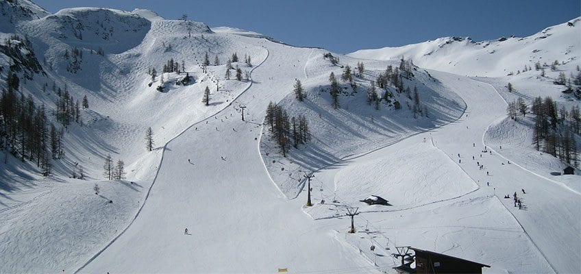 Types de ski