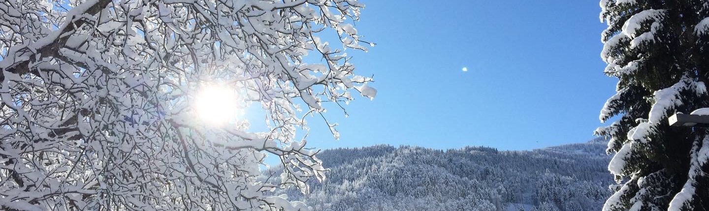 Blue sky mountains forest Meribel Courchevel 3 Valleys