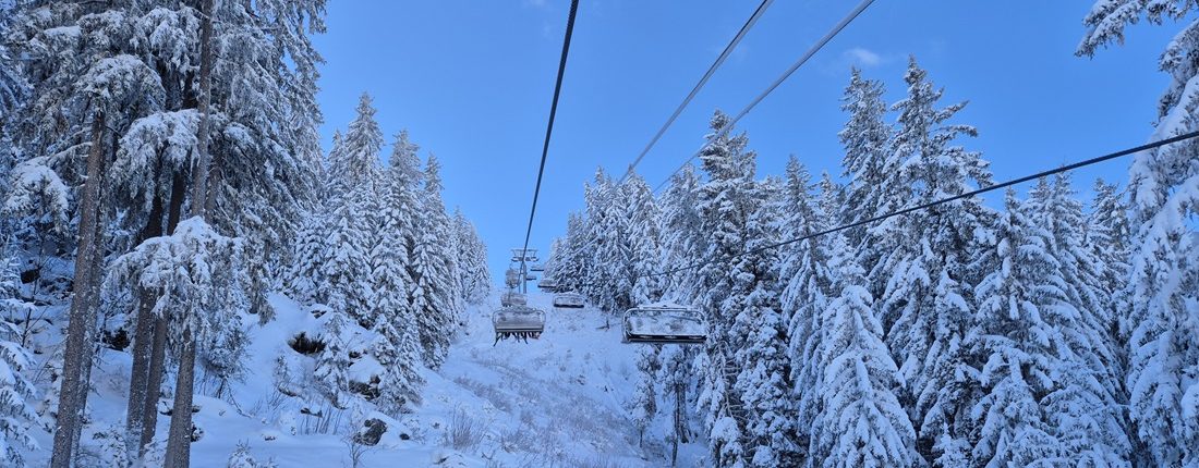 View of snowy trees from Courchevel Le Praz Foret chairlift