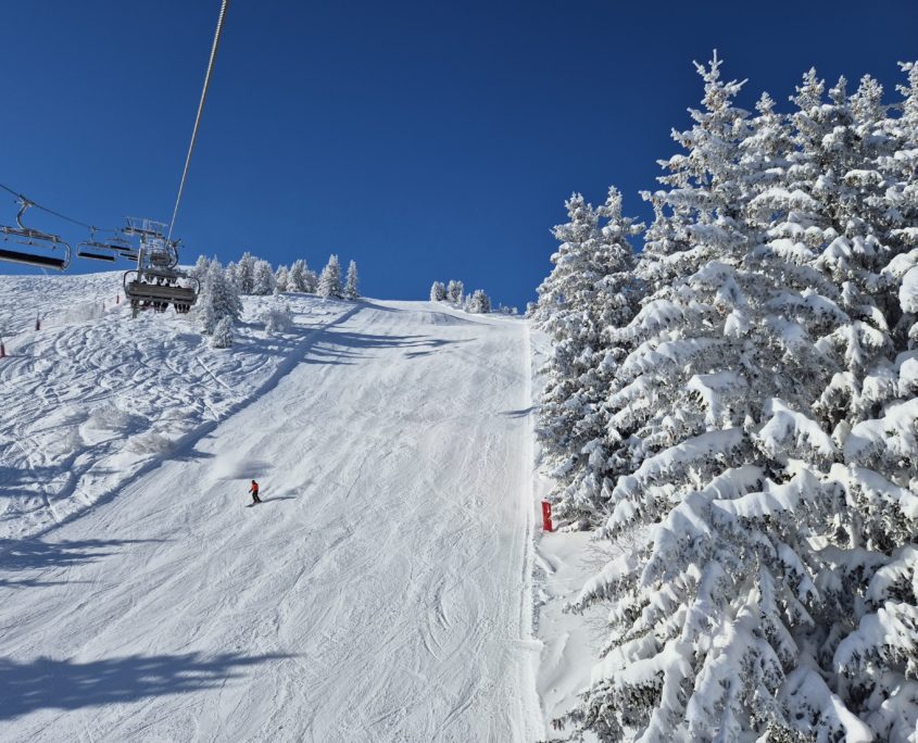 A ski run in the French resort of Courchevel, surrounded by snow-covered pines against a blue sky.