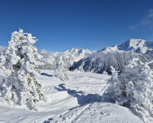 Very snowy trees and ski slope in the foreground, against a blue sky