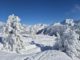 Very snowy trees and ski slope in the foreground, against a blue sky