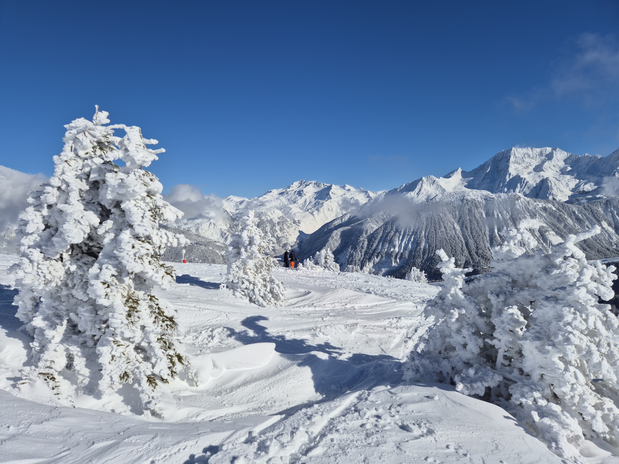 Very snowy trees and ski slope in the foreground, against a blue sky