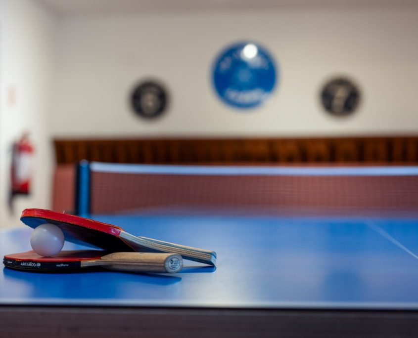 Ski Magic Chalet Loden table tennis close up