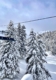 Skiing in Courchevel among the forest of Le Praz
