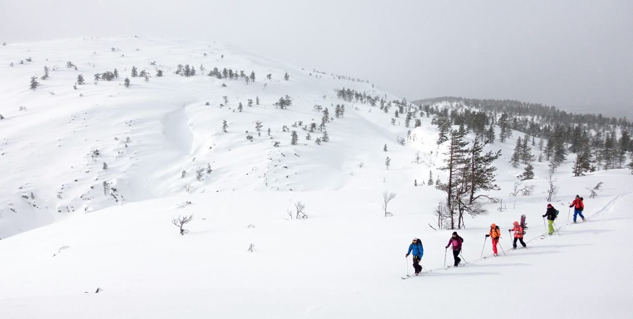 Group of skiers ski touring against a snowy backdrop